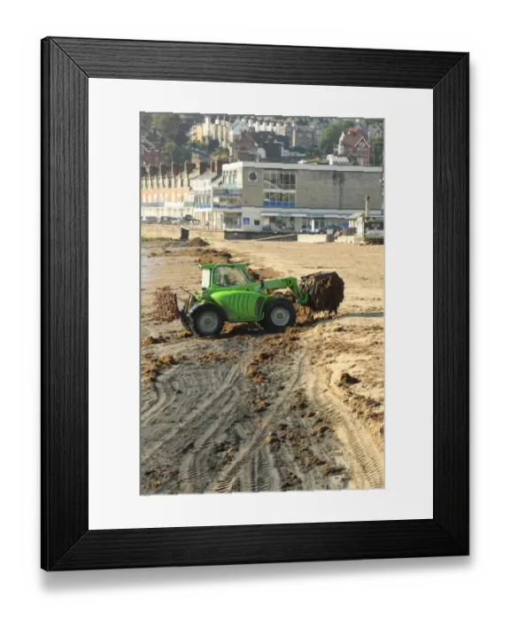 Framed Print : Merlo loader clearing seaweed from sandy beach of seaside town, Swanage, Isle of Purbeck, Dorset, England, august Framed Print : Merlo loader clearing seaweed from sandy beach of seaside town, Swanage, Isle of Purbeck, Dorset, England, august