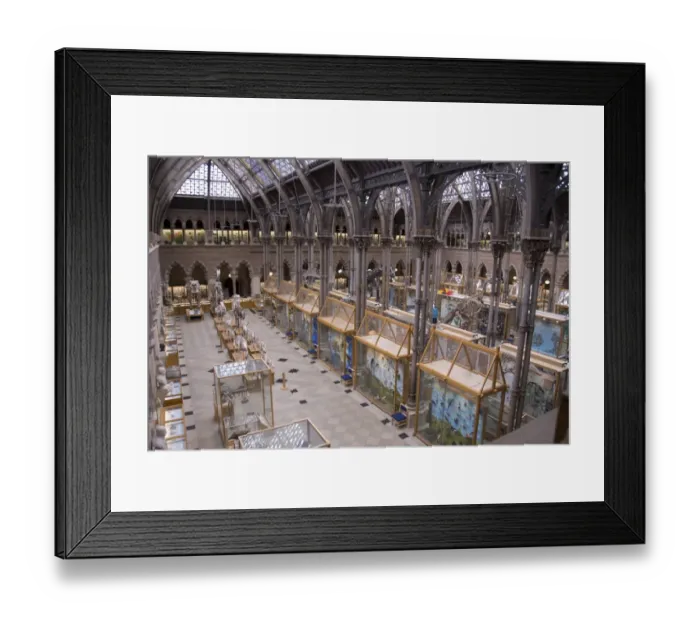 Framed Print : Gallery of skeletons and stuffed animals, Main Exhibition Hall, Oxford University Museum of Natural History, Oxford Framed Print : Gallery of skeletons and stuffed animals, Main Exhibition Hall, Oxford University Museum of Natural History, Oxford