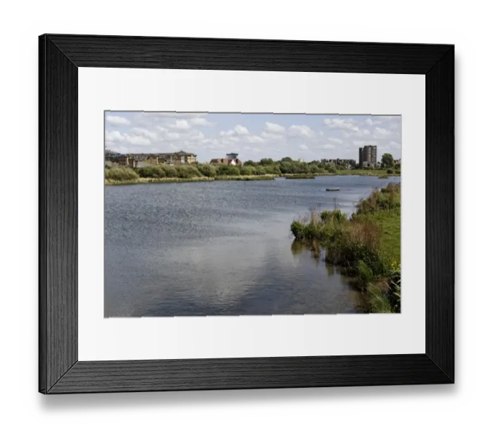Framed Print : View of urban wetland habitat, W. W. T. London Wetlands Centre, Barnes, Richmond upon Thames, London, England, may Framed Print : View of urban wetland habitat, W. W. T. London Wetlands Centre, Barnes, Richmond upon Thames, London, England, may