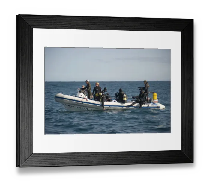 Framed Print : Tourist divers about to get into water from inflatable boat, offshore Port St Framed Print : Tourist divers about to get into water from inflatable boat, offshore Port St