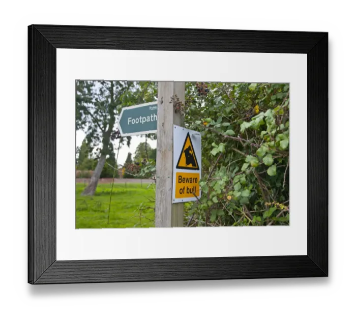Framed Print : Footpath and Beware of Bull signs at edge of pasture, Wattisfield, Suffolk, England, august Framed Print : Footpath and Beware of Bull signs at edge of pasture, Wattisfield, Suffolk, England, august