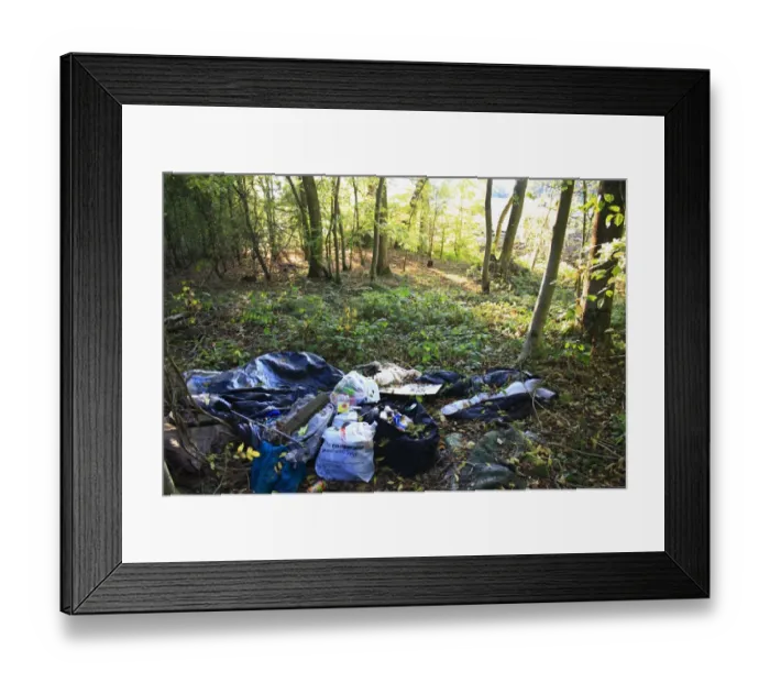 Framed Print : Plastic bags, bottles and cans discarded in woodland habitat, Northfield Wood, Onehouse, Suffolk, England, october Framed Print : Plastic bags, bottles and cans discarded in woodland habitat, Northfield Wood, Onehouse, Suffolk, England, october