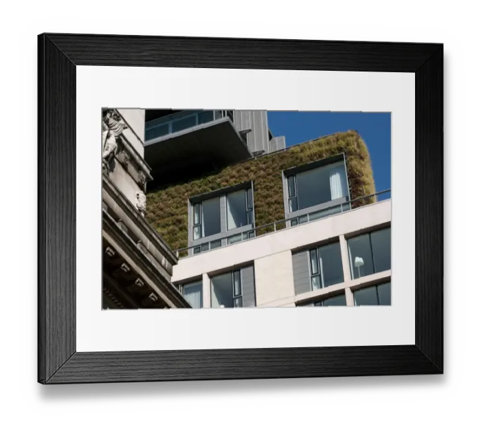 Framed Print : Living Wall System (Green Wall) growing on wall of apartment building, Central London, England, september Framed Print : Living Wall System (Green Wall) growing on wall of apartment building, Central London, England, september