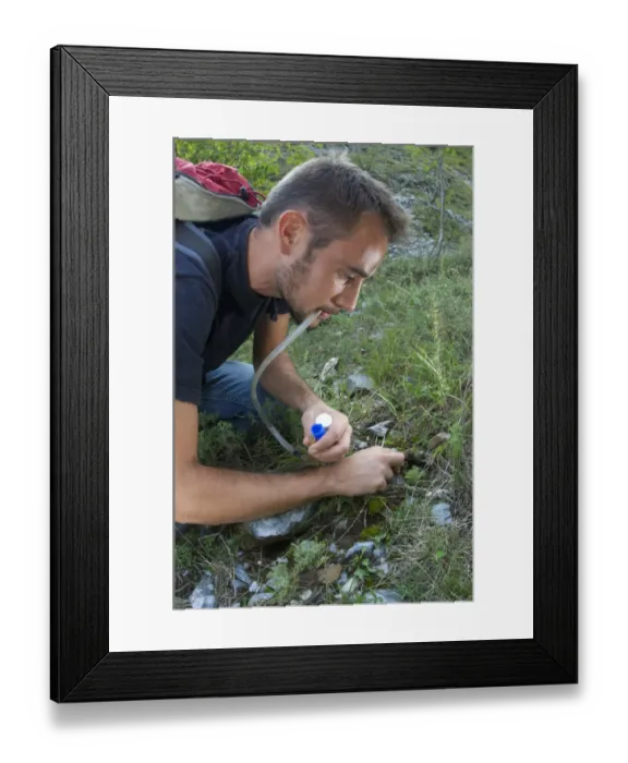 Framed Print : Arachnologist catching spiders with pooter for study purposes, Italy Framed Print : Arachnologist catching spiders with pooter for study purposes, Italy