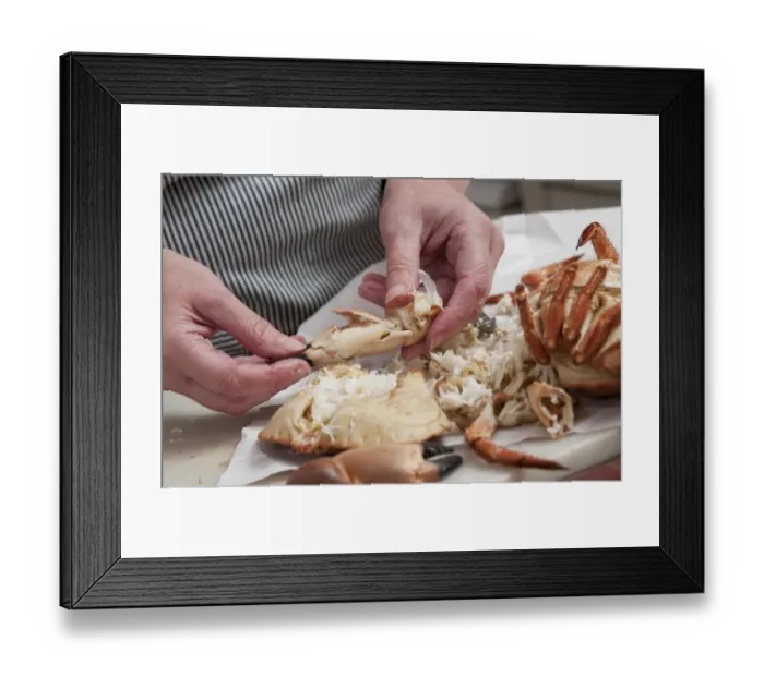 Framed Print : Person preparing dressed crab, Norfolk, England, july Framed Print : Person preparing dressed crab, Norfolk, England, july
