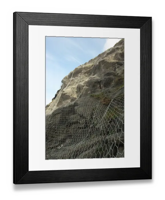 Framed Print : Wire netting used for sea cliff erosion defence, Cornwall, England, april
