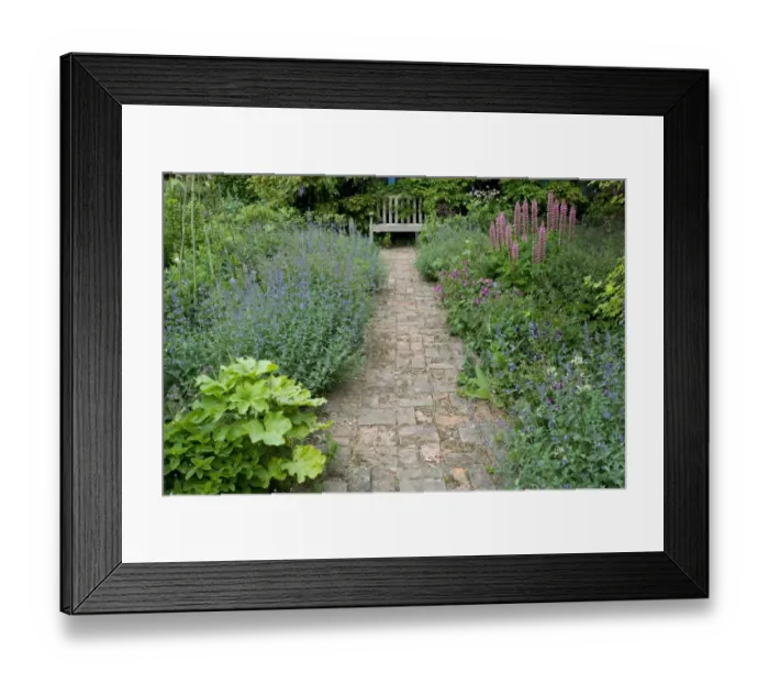 Framed Print : Flowerbeds and brick garden path, Norfolk, England may