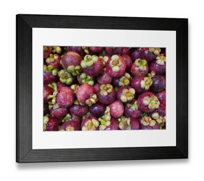 Framed Print : Purple Mangosteen (Garcinia mangostana) fruit, for sale on market stall, Hong Kong, China Framed Print : Purple Mangosteen (Garcinia mangostana) fruit, for sale on market stall, Hong Kong, China