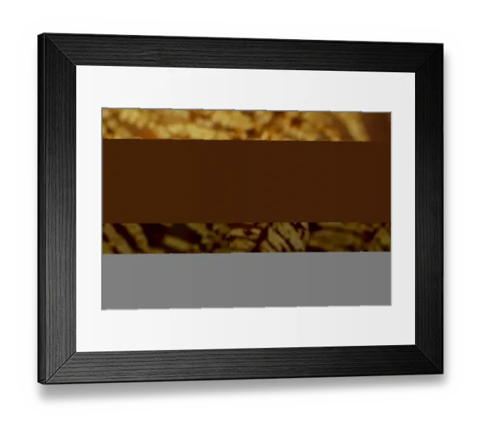 Framed Print : Bracken (Pteridium aquilinum) close-up of fronds in autumn colour, Powys, Wales, november