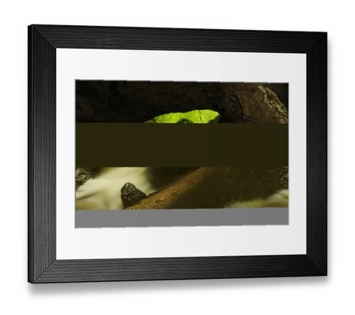 Framed Print : Carsic river flowing through cave in woodland, Italy, june Framed Print : Carsic river flowing through cave in woodland, Italy, june