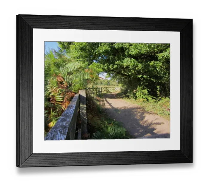 Framed Print : Fence and path at edge of heathland and woodland habitat, Poors Field, Ruislip Woods N. N. R