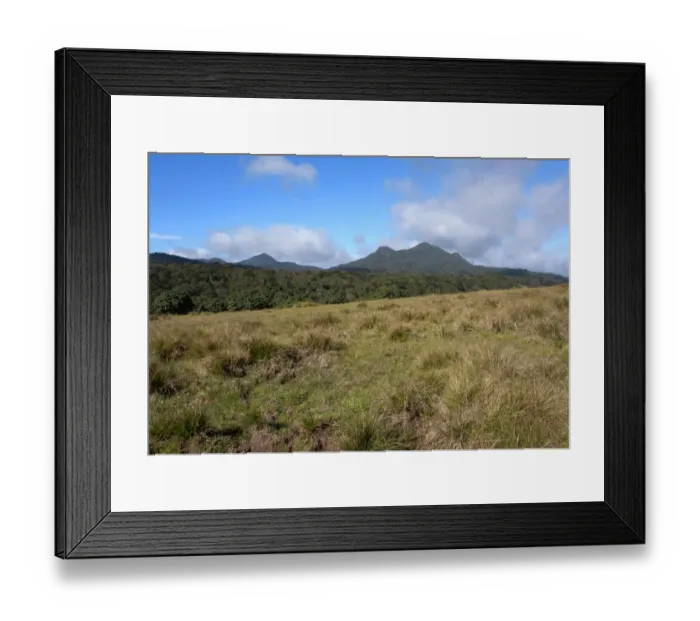 Framed Print : View over upland grassland and forest towards mountains, Horton Plains N. P. Sri Lanka, december Framed Print : View over upland grassland and forest towards mountains, Horton Plains N. P. Sri Lanka, december