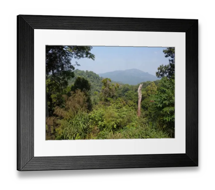 Framed Print : View over forest canopy towards Myanmar border, Kaeng Krachan N. P. Thailand, february Framed Print : View over forest canopy towards Myanmar border, Kaeng Krachan N. P. Thailand, february