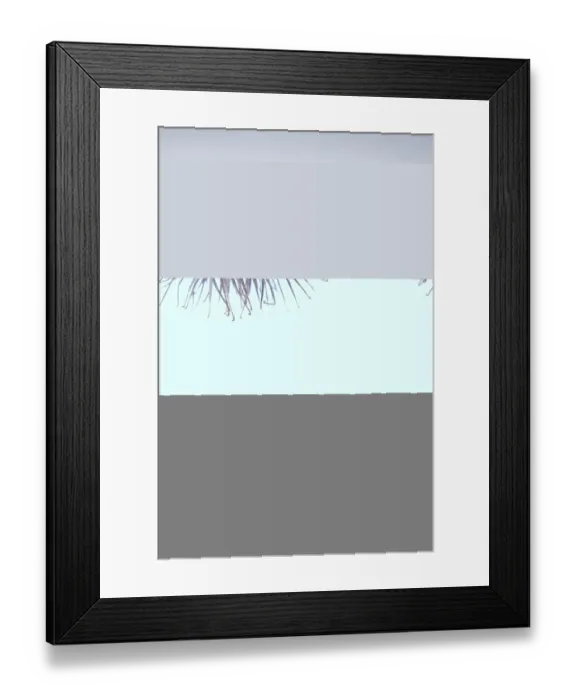 Framed Print : Burdock (Arctium sp. ) bur Framed Print : Burdock (Arctium sp. ) bur