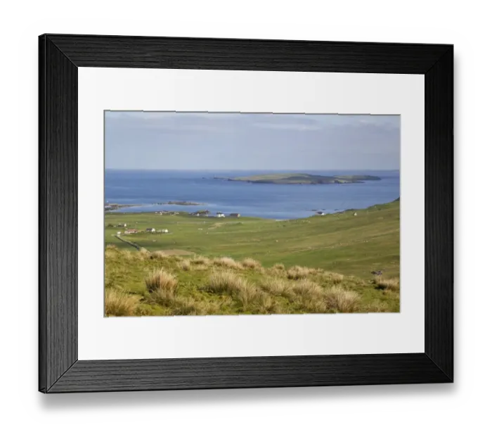 Framed Print : View of coastal pasture and island, Mousa Island, from above South Voxter, Shetland Islands, Scotland, june Framed Print : View of coastal pasture and island, Mousa Island, from above South Voxter, Shetland Islands, Scotland, june