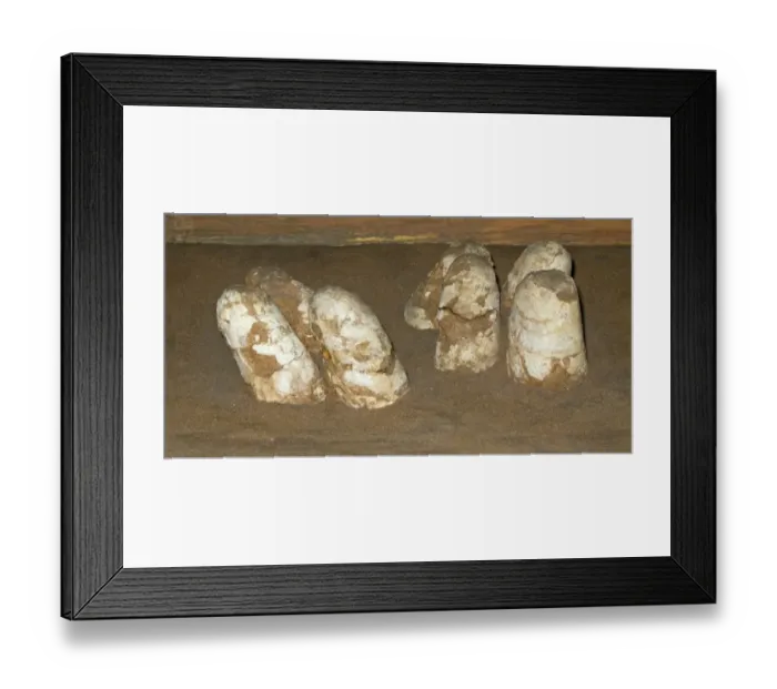 Framed Print : Fossilized Dinosaur nest with eggs, discovered in 1977, Gelbent, Southern Gobi Desert, Mongolia