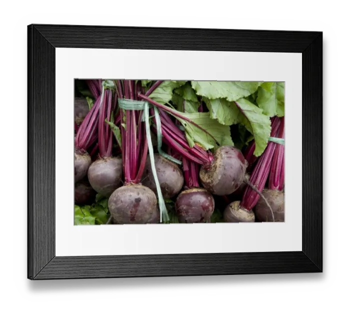 Framed Print : Beetroot (Beta vulgaris ssp. vulgaris) freshly picked roots on market stall, Norfolk, England, may Framed Print : Beetroot (Beta vulgaris ssp. vulgaris) freshly picked roots on market stall, Norfolk, England, may