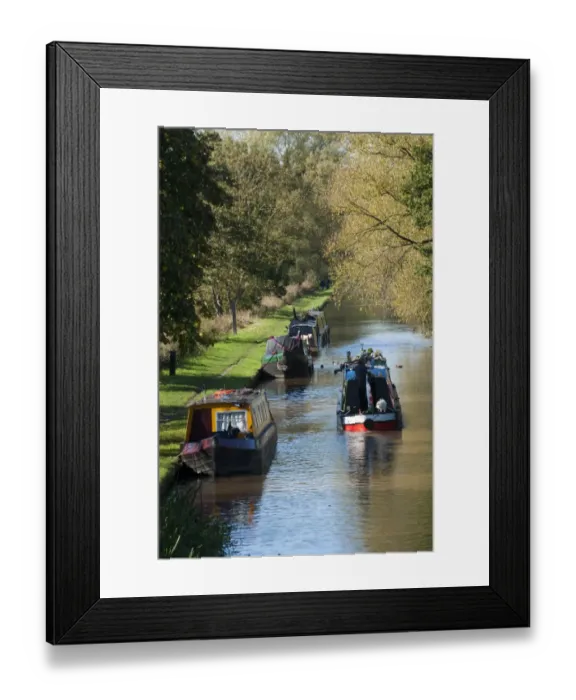 Framed Print : Narrowboats on canal, Shropshire Union Canal, Beeston, Tarporley, Cheshire, England, october Framed Print : Narrowboats on canal, Shropshire Union Canal, Beeston, Tarporley, Cheshire, England, october