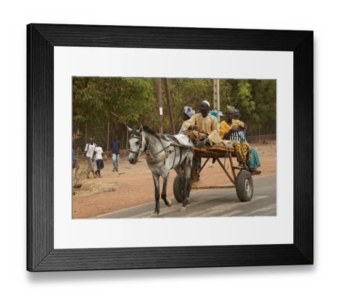 Framed Print : Senegalese family riding horse pulled cart, Kaolack, Senegal, january