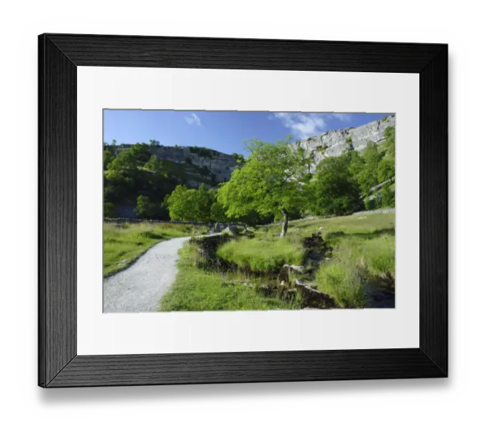 Framed Print : Path and beck leading to limestone cliff, Malham Cove, Malhamdale, Yorkshire Dales N. P Framed Print : Path and beck leading to limestone cliff, Malham Cove, Malhamdale, Yorkshire Dales N. P