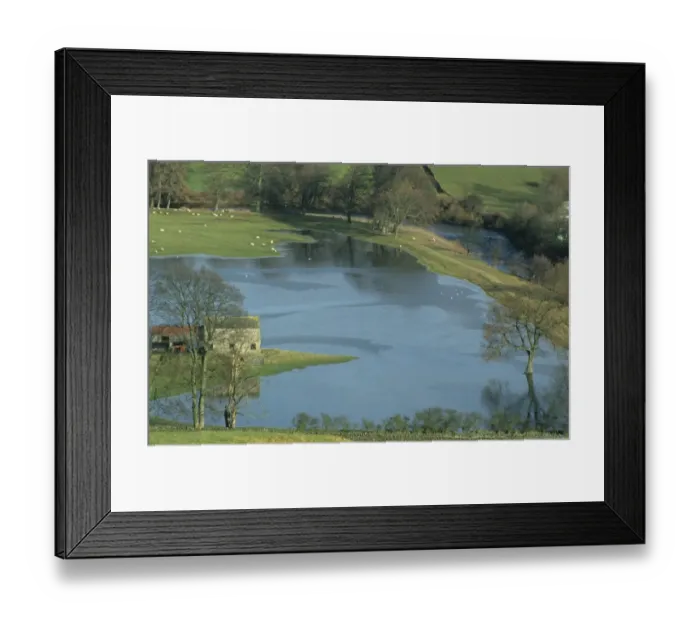 Framed Print : River in normal winter flood, flooding upland farmland, River Swale, Grimston, Swaledale, Yorkshire Dales N. P Framed Print : River in normal winter flood, flooding upland farmland, River Swale, Grimston, Swaledale, Yorkshire Dales N. P