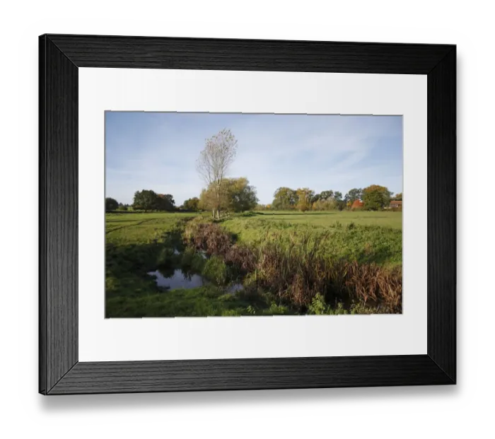 Framed Print : View of unimproved wet grazing meadow, River Dove, Thornham Magna, Suffolk, England, october Framed Print : View of unimproved wet grazing meadow, River Dove, Thornham Magna, Suffolk, England, october
