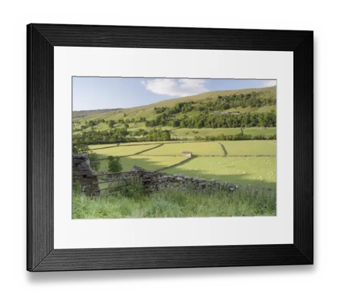 Framed Print : View of gate, drystone walls, stone barns and sheep grazing in pasture of river valley, Gunnerside, Swaledale Framed Print : View of gate, drystone walls, stone barns and sheep grazing in pasture of river valley, Gunnerside, Swaledale