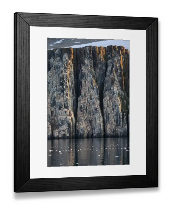 Framed Print : View of sea cliff, seabird nesting colony habitat, Alkefjellet, Spitsbergen, Svalbard, august Framed Print : View of sea cliff, seabird nesting colony habitat, Alkefjellet, Spitsbergen, Svalbard, august