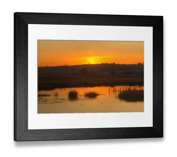 Framed Print : View of pond in raised bog habitat at sunset, Cors Caron National Nature Reserve, Ceredigion, Wales, november Framed Print : View of pond in raised bog habitat at sunset, Cors Caron National Nature Reserve, Ceredigion, Wales, november