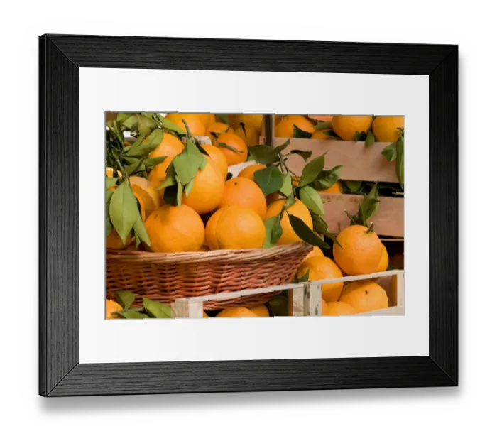 Framed Print : Orange (Citrus sinensis) fruit, for sale on market stall, on market stall, Turin, Piedmont, Italy, march Framed Print : Orange (Citrus sinensis) fruit, for sale on market stall, on market stall, Turin, Piedmont, Italy, march