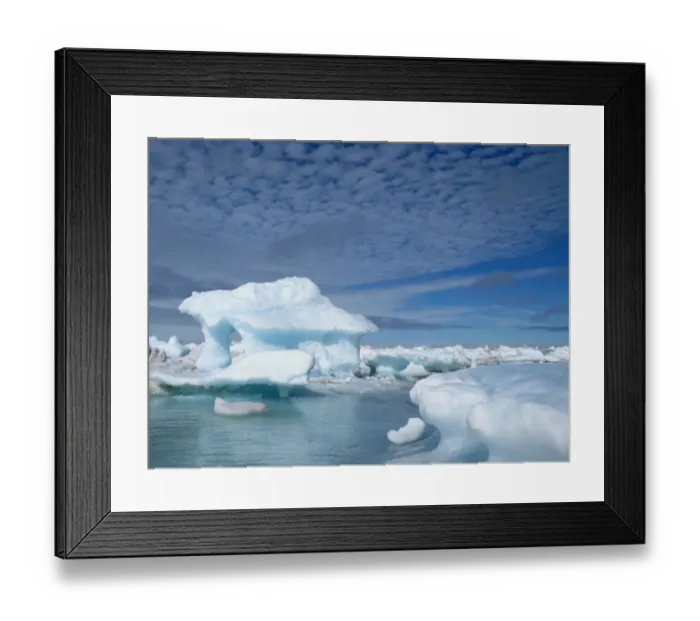Framed Print : Pack ice at sea, Chukchi Sea, Arctic Ocean, july Framed Print : Pack ice at sea, Chukchi Sea, Arctic Ocean, july