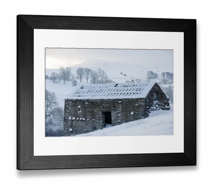 Framed Print : Roofless stone field barn covered in snow, Cumbria, England, december Framed Print : Roofless stone field barn covered in snow, Cumbria, England, december