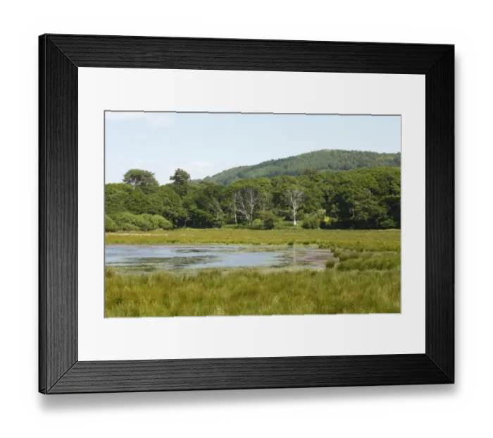 Framed Print : View of freshwater marsh, pool and woodland habitat, Ynys-hir RSPB Reserve, Ceredigion, Wales, june