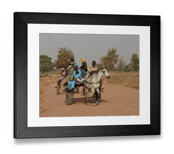 Framed Print : Senegalese family riding horse pulled cart to nearby market, near Toubacouta, Senegal, january Framed Print : Senegalese family riding horse pulled cart to nearby market, near Toubacouta, Senegal, january