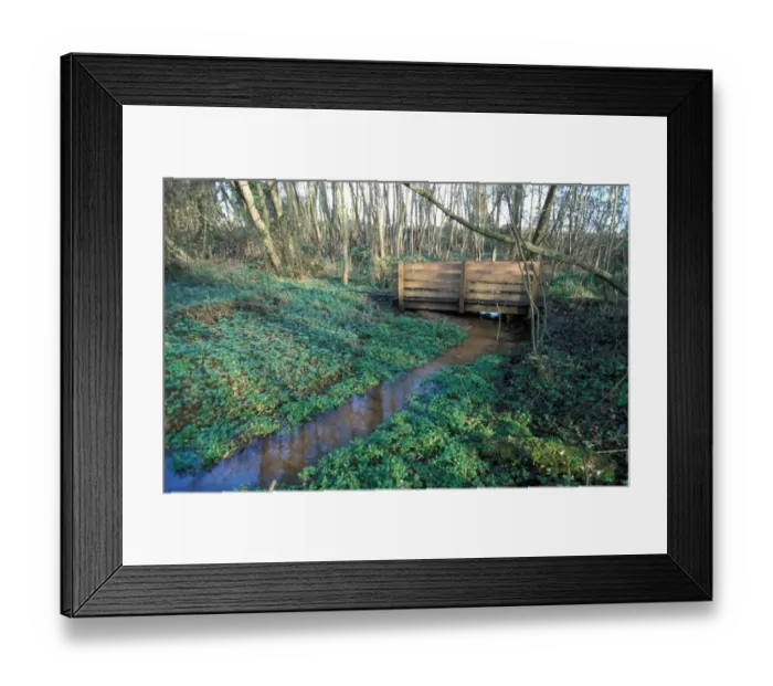 Framed Print : Suffolk Newbourne Springs, Suffolk Framed Print : Suffolk Newbourne Springs, Suffolk
