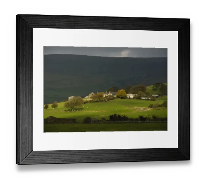 Framed Print : View of farmland, with farm buildings and sheep grazing in pasture, Blindhurst Farm, looking towards Bleasdale Moors Framed Print : View of farmland, with farm buildings and sheep grazing in pasture, Blindhurst Farm, looking towards Bleasdale Moors