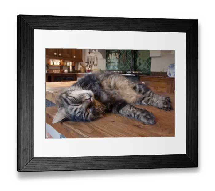 Framed Print : Domestic Cat, tabby, adult male, sleeping on worktop in farmhouse kitchen, England Framed Print : Domestic Cat, tabby, adult male, sleeping on worktop in farmhouse kitchen, England