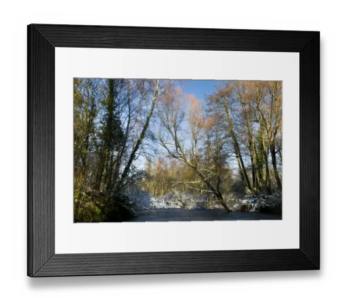 Framed Print : Frozen lake, snow and bare trees, Sevenoaks Wildlife Reserve, Kent, England, december Framed Print : Frozen lake, snow and bare trees, Sevenoaks Wildlife Reserve, Kent, England, december