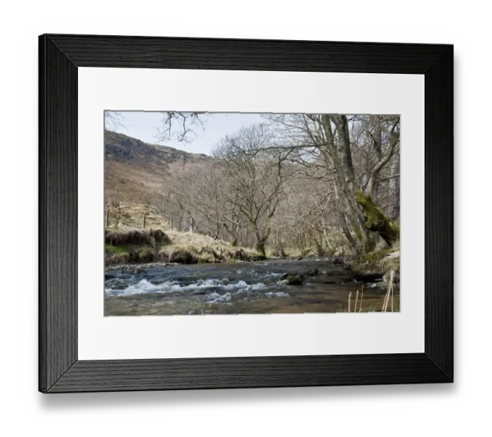 Framed Print : River flowing through nature reserve, River Marteg, Gilfach Farm Nature Reserve, Rhayader, Radnorshire, Wales, april Framed Print : River flowing through nature reserve, River Marteg, Gilfach Farm Nature Reserve, Rhayader, Radnorshire, Wales, april