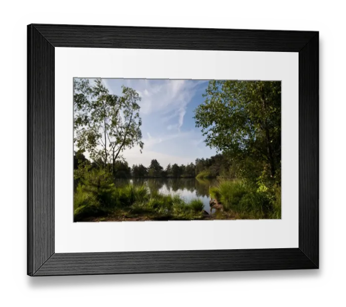 Framed Print : View of pond habitat, The Moat, Thursley Common National Nature Reserve, Surrey, England, july
