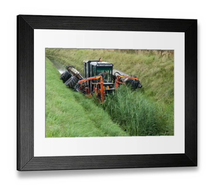 Framed Print : Countryside management, Berkenheger reed cutting machine working in dyke, Norfolk, England, august Framed Print : Countryside management, Berkenheger reed cutting machine working in dyke, Norfolk, England, august