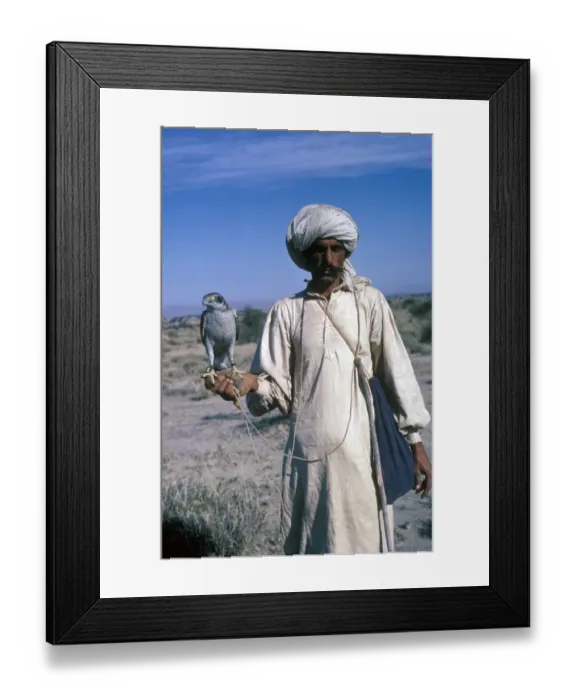 Framed Print : Sports & Pastimes - Falconery / falconer with Goshawk / Pakistan Framed Print : Sports & Pastimes - Falconery / falconer with Goshawk / Pakistan
