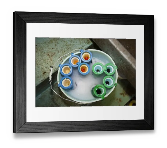 Framed Print : Dairy farming, teat dipping cups for use in milking parlour in bucket, Dumfries, Scotland, january Framed Print : Dairy farming, teat dipping cups for use in milking parlour in bucket, Dumfries, Scotland, january