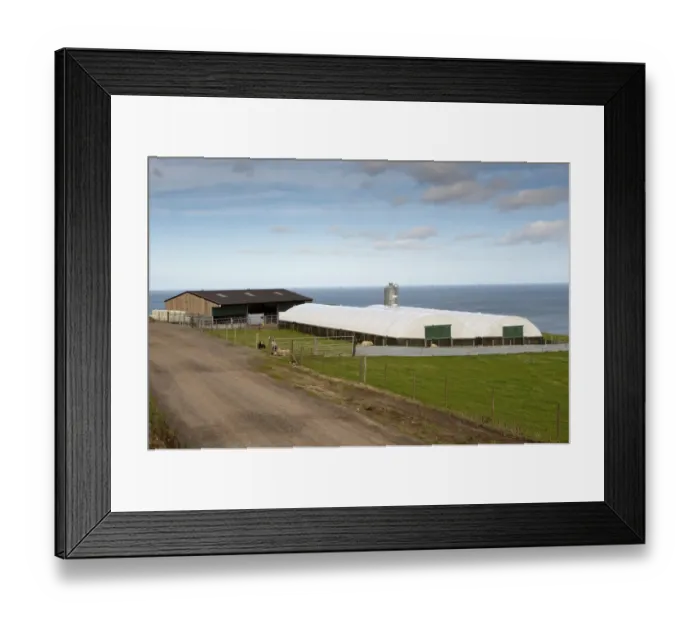 Framed Print : Sheep farming, polytunnel sheep buildings and steel shed on modern farm beside coast, Scotland, september Framed Print : Sheep farming, polytunnel sheep buildings and steel shed on modern farm beside coast, Scotland, september