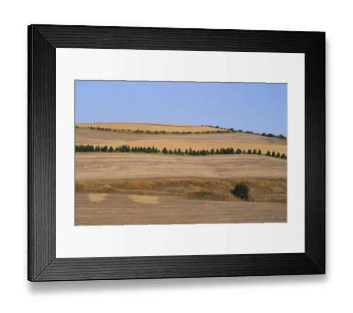 Framed Print : Farmland of strip crop fields with protective trees to prevent soil erosion, Washington State, U. S. A Framed Print : Farmland of strip crop fields with protective trees to prevent soil erosion, Washington State, U. S. A