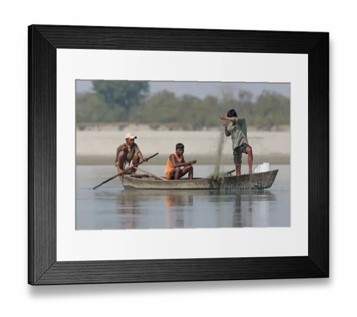 Framed Print : Three men fishing from boat with net on river, Dibru-Saikhowa, Assam, India, february Framed Print : Three men fishing from boat with net on river, Dibru-Saikhowa, Assam, India, february