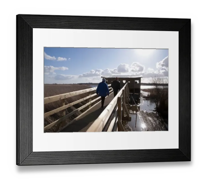 Framed Print : Birdwatchers walking on boardwalk towards hide in coastal wetland, Island Mere Hide, Minsmere RSPB Reserve, Suffolk Framed Print : Birdwatchers walking on boardwalk towards hide in coastal wetland, Island Mere Hide, Minsmere RSPB Reserve, Suffolk