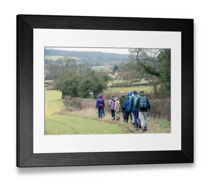 Framed Print : Group of walkers, members of Chiltern Society, walking along footpath in farmland, near Great Missenden Framed Print : Group of walkers, members of Chiltern Society, walking along footpath in farmland, near Great Missenden