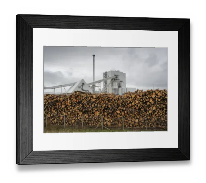 Framed Print : Biomass powerstation with stack of timber, largest biomass plant in Scotland, Stevens Croft Biomass Power Station Framed Print : Biomass powerstation with stack of timber, largest biomass plant in Scotland, Stevens Croft Biomass Power Station