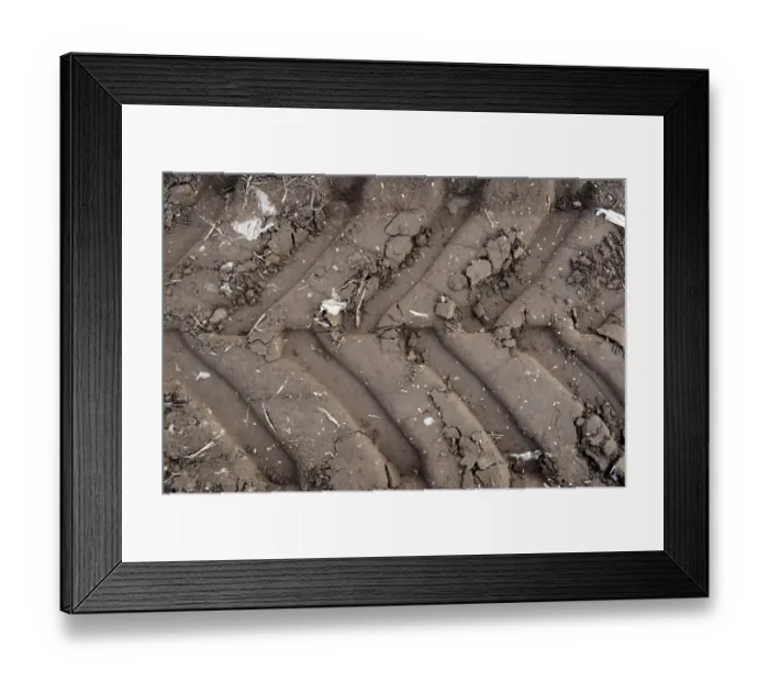 Framed Print : Tractor tyre tracks in soft soil, England, september Framed Print : Tractor tyre tracks in soft soil, England, september
